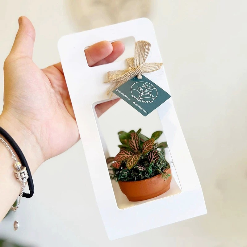 10Set Succulent Wrap Gift Bags - Flower Wrap Kraft ulasan dan harga