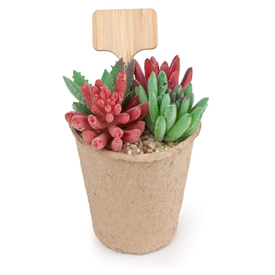 100Pcs Wooden Plant Tag Stakes - Floral Picks Wood ulasan dan harga